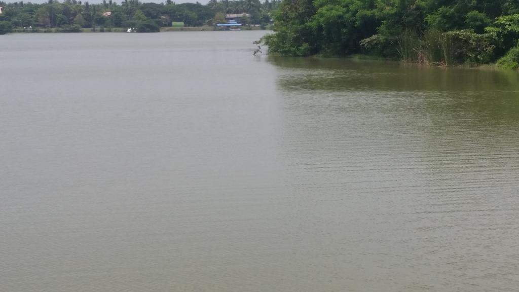 Sunhill Lake Tourist Rest Hotell Anuradhapura Eksteriør bilde