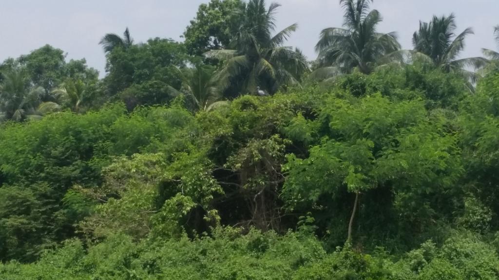 Sunhill Lake Tourist Rest Hotell Anuradhapura Eksteriør bilde